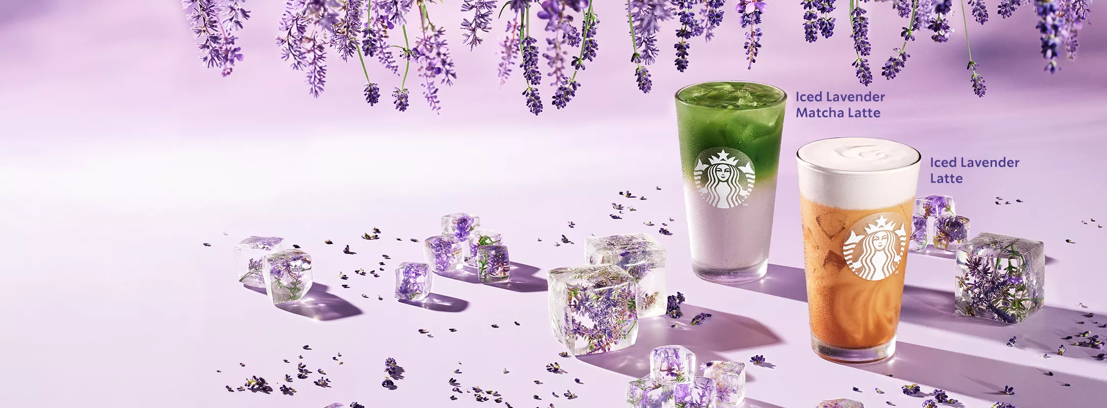 homepage header 1